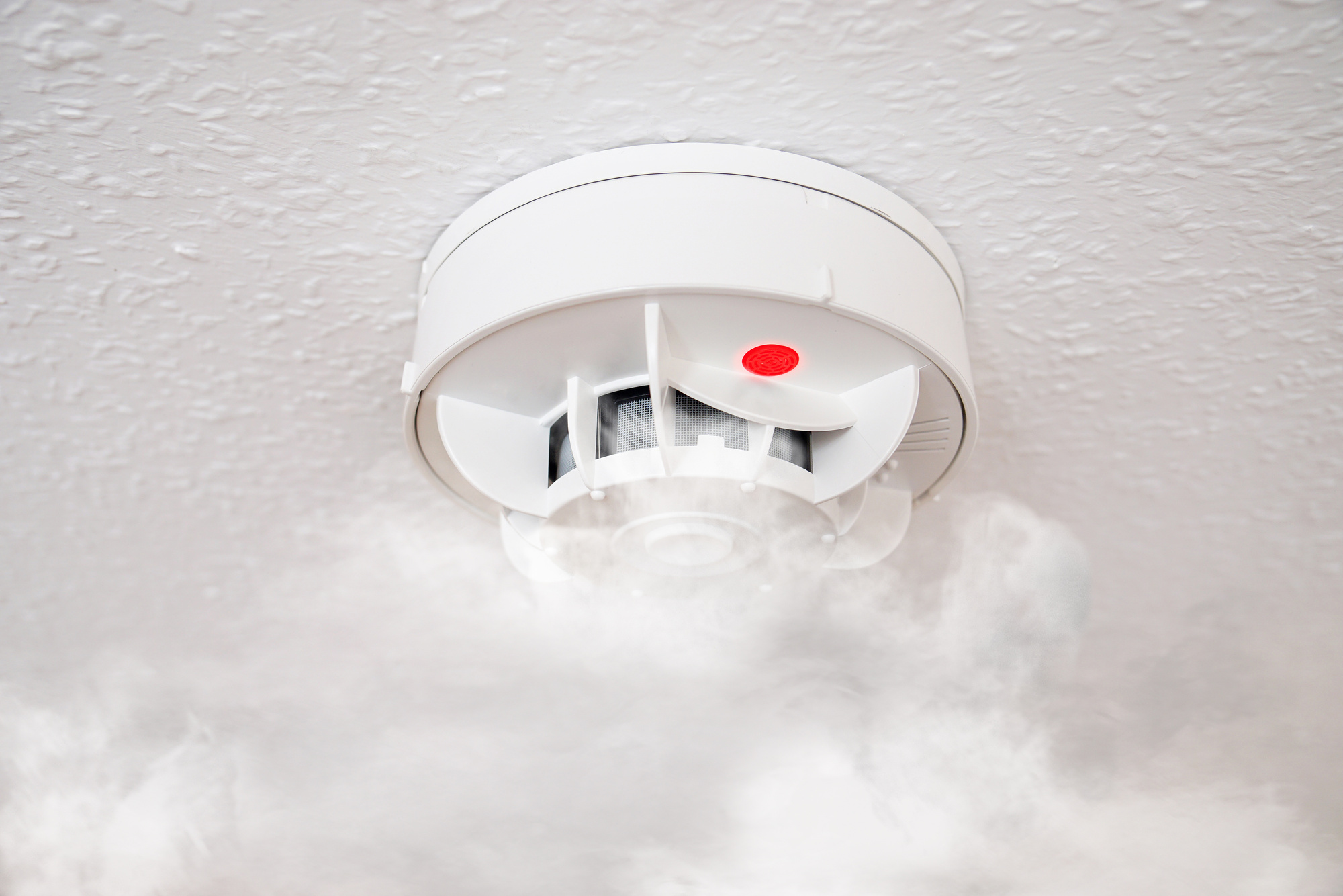 Smoke Detector or Fire Alarm